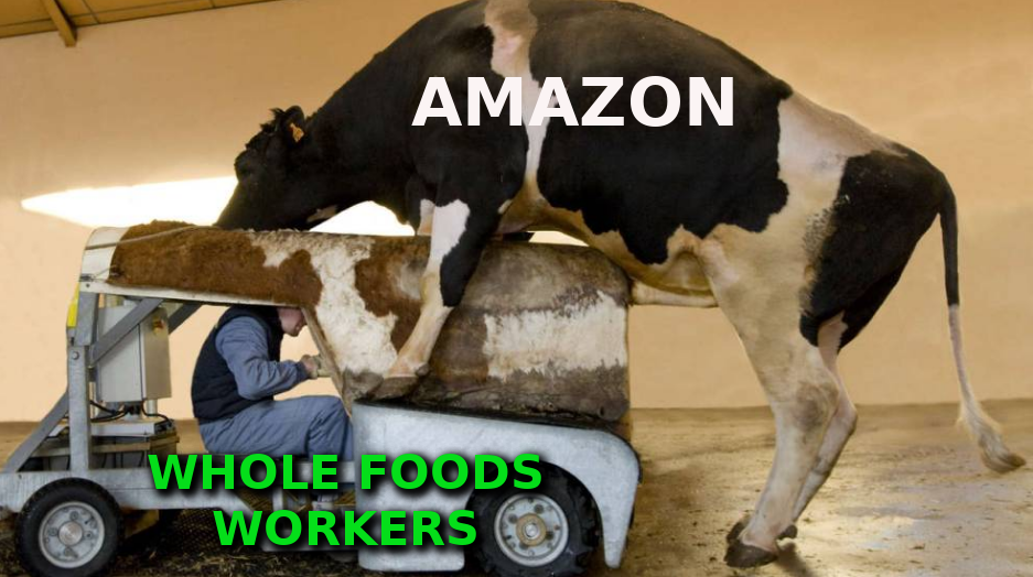 AMAZON_AND_WHOLE_FOODS_WORKERS_ELON_MUSK_IS_A_CROOK_AND_SCAMMER.png