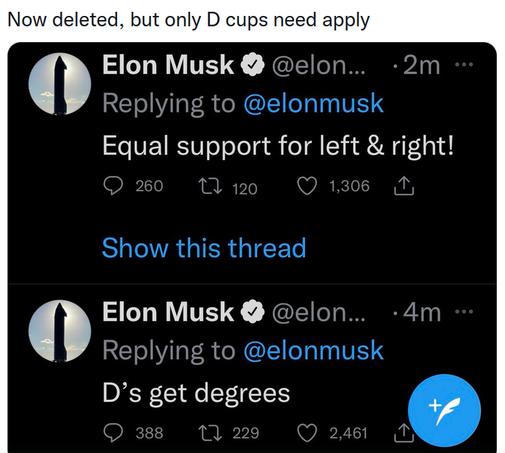 ELON-MUSK-SEXIST-1.png