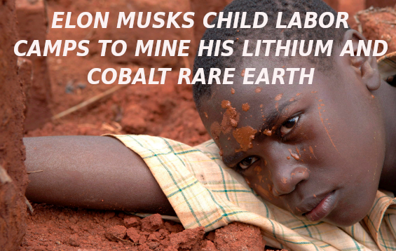 FRANK-GUISTRA-COBALT-AND-LITHIUM-MINING-CHILD-LABOR-ELON-MUSK-IS-A-CROOK-AND-SCAMMER-MUSK-copy-1.png