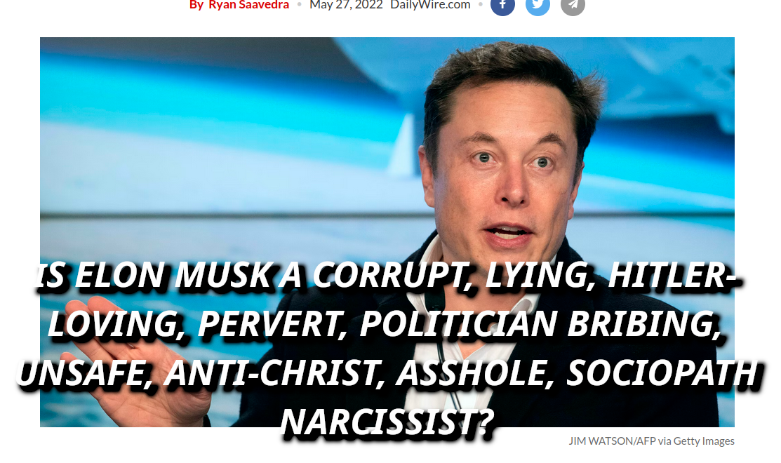 FRAUD-ELON-MUSK-DOUCHE-MAN-1113x660.png