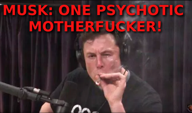 MUSK-IS-A-PSYCHOTIC-MOTHERFUCKER-Elon-Musk-Corruption-And-Crappy-Engineering-Make-Tesla-Cars-So-Unsafe-MUSK.png