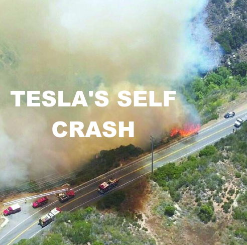 TESLA-HACKED-AND-CRASHED-1-ELON-MUSK-IS-A-CROOK-AND-SCAMMER_v1-MUSK.png