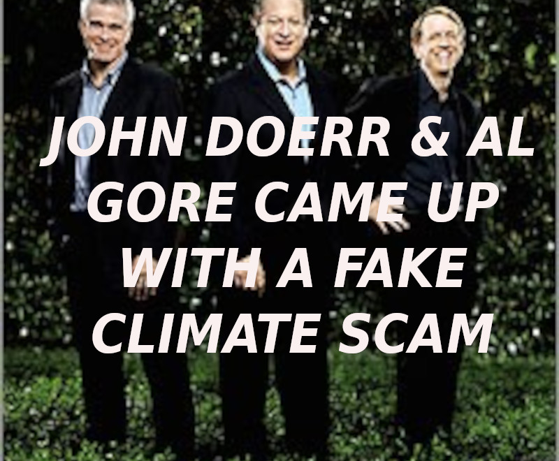 doerr-gore-blood_03-ELON-MUSK-IS-A-CROOK-AND-SCAMMER-800x660.png