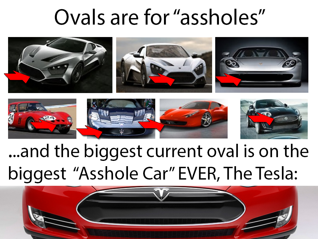 ovals-are-for-assholes__2__ELON_MUSK_IS_A_CROOK_AND_SCAMMER.png