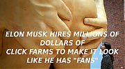 ELON_MUSKS_HOLE.png