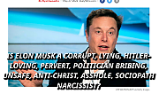 FRAUD-ELON-MUSK-DOUCHE-MAN-1113x660.png