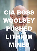 James-woolsey-lithium-ion-battery-shill-ELON-MUSK-IS-A-CROOK-AND-SCAMMER_v1.png