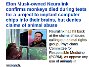 MUSK-KILLS-MONKEYS.png