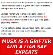 MUSK_IS_A_DAMN_GRIFTER.png