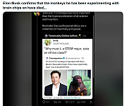 MUSK_KILLS_ANIMALS_ALL_DAY.png