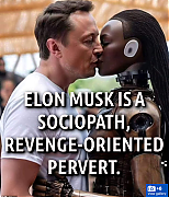 MUSK_PERVERSIONS_2.png