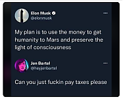 MUSK_TAX_CHEAT.png