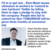 PLEDGE-TO-MUSK-OR-DIE-1.png