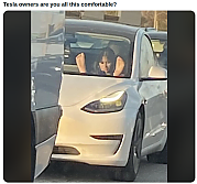 TESLA_OWNER_IDIOTS.png