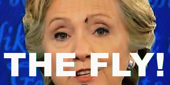 a-fly-landed-directly-on-hillary-clintons-face-during-the-second-presidential-debate.jpg
Keywords: Rare Earth Mines Of Afghanistan, New America Foundation Corruption, Obama, Obama Campaign Finance, Obama FEC violations, Palo Alto Mafia, Paypal Mafia, Pelosi Corruption, Political bribes, Political Insider,  Eric Schmidts Sex Penthouse, SEC Investigation