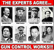 EXPERTS_AGREE_ON_GUN_CONTROL__DIANNE_FEINSTEINS_CORRUPTION.png