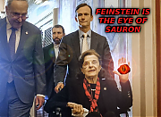 FEINSTEIN_IS_A_CROOK_OF_HELL.png