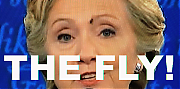 a-fly-landed-directly-on-hillary-clintons-face-during-the-second-presidential-debate_jpg.png