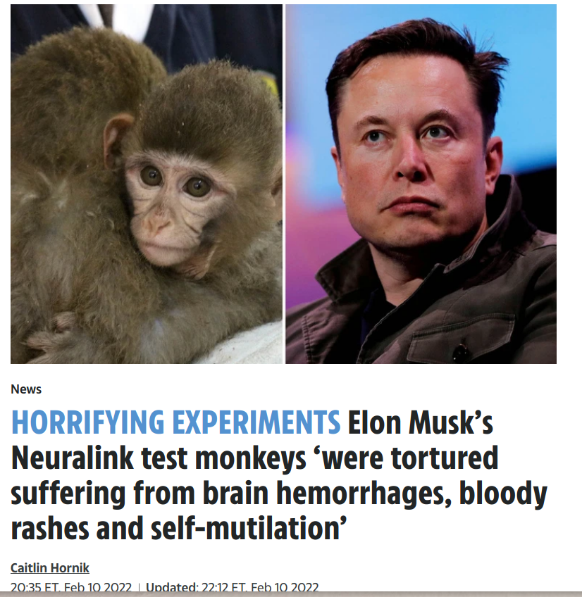 MUSK-TORTURES-ANIMALS-777-1
Keywords: Rare Earth Mines Of Afghanistan, New America Foundation Corruption, Obama, Obama Campaign Finance, Obama FEC violations, Palo Alto Mafia, Paypal Mafia, Pelosi Corruption, Political bribes, Political Insider,  Eric Schmidts Sex Penthouse, SEC Investigation