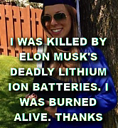 AFGHAN-LITHIUM-SCAM_-casey-was-killed-by-a-tesla-MUSK-267x288.png