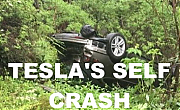 TESLA-HACKED-AND-CRASHED-3-ELON-MUSK-IS-A-LIAR-SCAMMER-POLITICAL-BRIBERY-CROOK_v1-MUSK.png