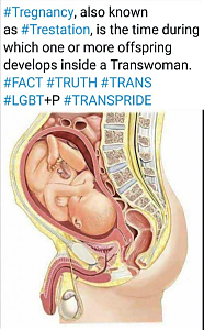 ANAL-TRANS-BIRTH.jpg