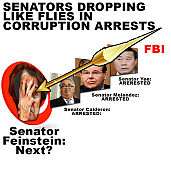 senator-dianne-feinstein-corrupt-career-politician.png